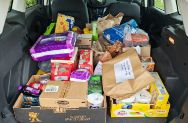 canned food 8.6.26